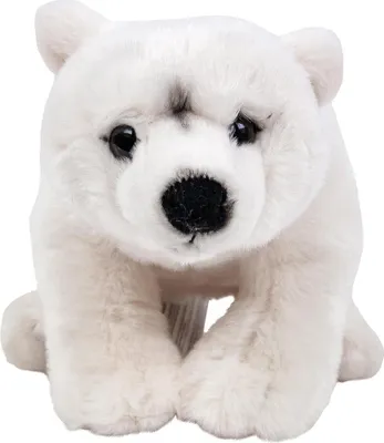 Produktbild von Kuscheltier Eisbär sitzend weiß 22 cm Plüscheisbär