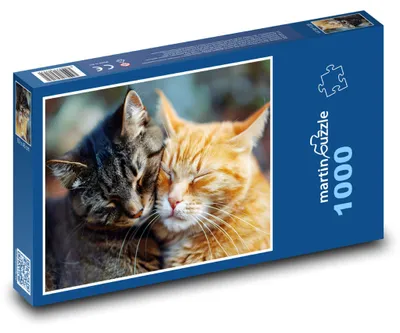 Zdjęcie produktu dla Puzzle 1000 Koty - przyjaciele na całe życie - martinpuzzle