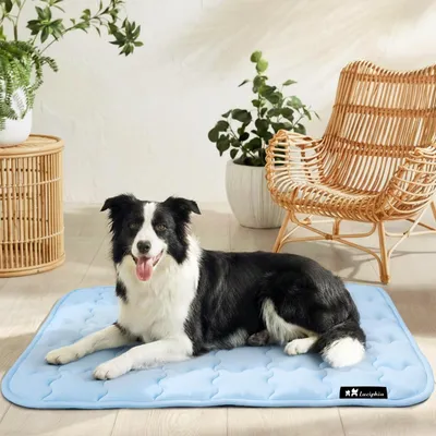 Produktbild von Kühlmatte für Hunde und Katzen, Blau