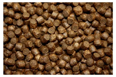 Produktbild von Winterfutter für Koi mit Spirulina, sinkend, hochverdaulich, 5mm, 10kg
