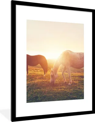 Produktbild von MuchoWow® Gerahmtes Poster Pferde - Sonne - Tiere 60x80 cm - Poster mit Schwarzem Bilderrahmen Wandposter Rahmen Foto Bilder - Wohnzimmer - Dekorationen - Prämie