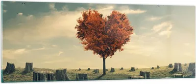 Produktbild von Bilder auf glas - Baum Natur Wiese - 140x50cm - Glasbilder - Wandbilder - Kunstdruck - zum Aufhängen bereit - Wanddekoration aus Glas - Glas Bilder - Wandbild auf Glas - Einteilig - GAB140x50-3751