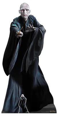 Obrázek produktu pro Harry Potter - Lord Voldemort - kartonový stojan - velikost 93x184 cm