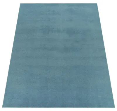 Produktbild von Paco Home Waschbarer Teppich Wohnzimmer Kurzflor Einfarbiger Moderner Stil Weich 240x340 cm