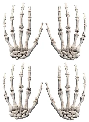 Skelett Hände 2 Paar Halloween Deko Grusel Hand Requisiten