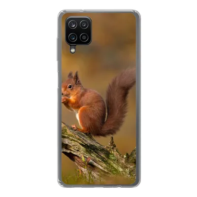 Produktbild von MuchoWow® Handyhülle Schutzhülle Hülle für Samsung Galaxy A12 Eichhörnchen - Baumstamm - Wald Silikon Softcase Handy Hülle - Bild