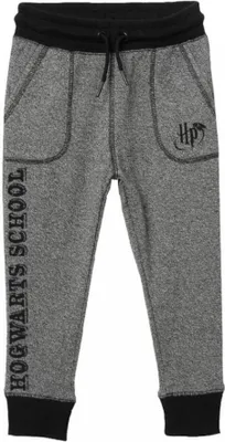 Produktbild von Harry Potter "Hogwarts School" Freizeit-/Jogginghose, grau, 134