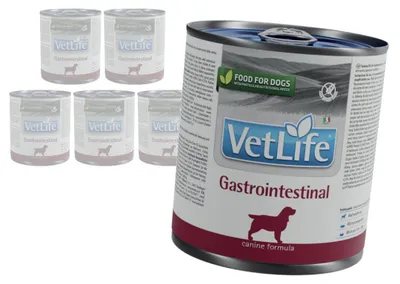 Produktbild von Farmina Vet Life Gastrointestinal Canine 6x300g Nassfutter für Hunde mit akuten Darmabsorptionsstörungen