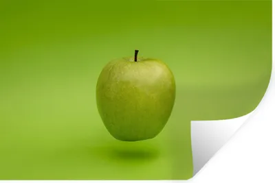 Produktbild von MuchoWow® - Wierderverwendbar - Selbstklebend