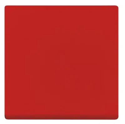 Immagine prodotto di BUSCH-JAEGER 2506-917 Bilanciere, chiuso, rosso RAL3020