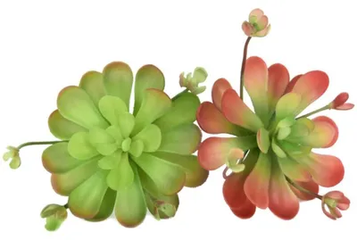 Image de Omgoods - Plantes artificielles en forme de cactus, pour l'intérieur et l'extérieur