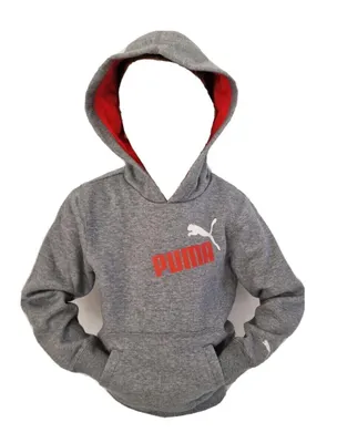 Produktbild von PUMA Uni Kinder Sweatshirt TD Graphic Hooded, , 819475-04 , Grau , Gr:152 , Neu