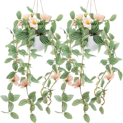 Image de Plante artificielle suspendue - Lot de 2 - Entretien minimal