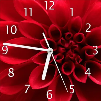 Produktbild von Wallario Design Wanduhr Rote Dahlienblüte in Nahaufnahme aus Echtglas, Größe 20 x 20 cm