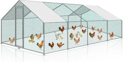 Obrázok produktu pre TolleTour kurník pre kurčatá vonkajší veľký kurník strecha voľný výbeh kurník pre hydinu s PE pozinkovaným oceľovým rámom a uzamykateľnými dverami 3 x 8 x 2 m