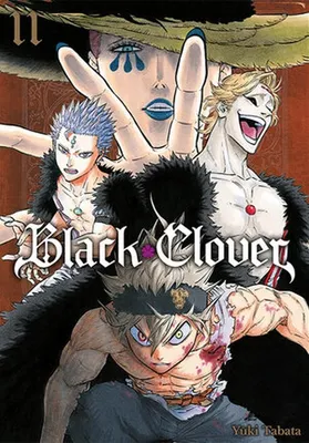 Image de Black Clover. Tom 11