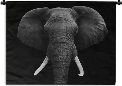 Produktbild von MuchoWow® Wandteppich Wandbehang Elefant - Wildtiere - Schwarz - Weiß - Porträt 120x90 cm Tapisserie Dekoration Wandtuch - Wohnen - Aufhänger für die Wand