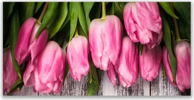 Produktbild von Tulup Leinwand-Bilder 140x70 Wandbild Canvas Kunstdruck Tulpen Pflanzen