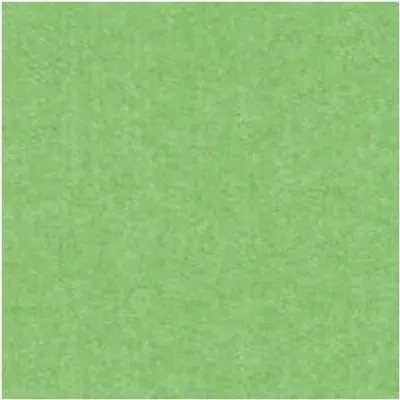 Produktbild von Bristolkarton A1 hellgrün Papier Galerie (20) 4870