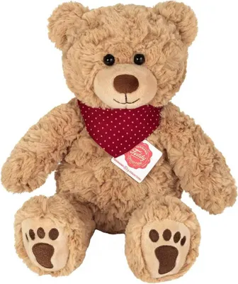 A teddy bear sitting on a white background.