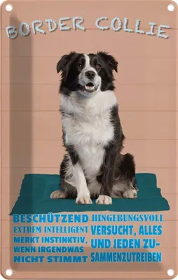 Produktbild von vianmo Blechschild 30x20 cm Border Collie Hund intelligent