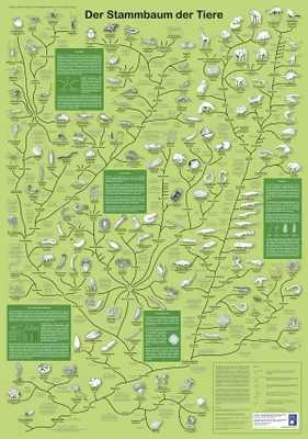 Immagine prodotto di Poster "Albero genealogico degli animali", lingua tedesca, formato DIN A1, 84,1 x 59,4 cm