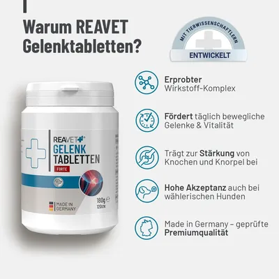 Produktbild von REAVET Gelenktabletten Hund - 120 Stück für 8 Monate - Gelenk-Tabletten für Hunde mit Grünlippmuschel, MSM & Teufelskralle I Für mehr Bewegungsfreude