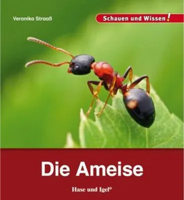 Produktbild von Die Ameise: Schauen und Wissen!