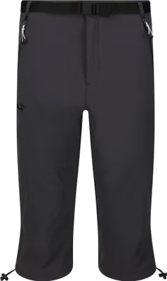Produktbild von Regatta - "Xert Stretch III" Capri Shorts für Herren - Aktiv RG10047 (50 DE R) (Mittelgrau)
