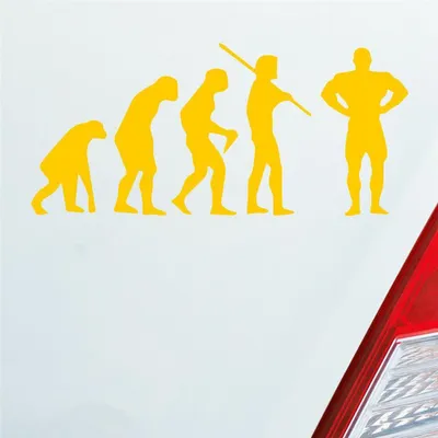 Produktbild von Auto Aufkleber Evolution Fitness Sport Bodybuilding 15x7 cm Gelb Sticker Heckscheibenaufkleber