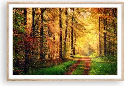 Produktbild von Gerahmtes Poster - Rahmen in heller Eiche - Wald Baum Natur - 91,5x61 cm - Wand Bild - Wanddeko - Wandbilder - Kunstposter - Wandposter - Bilderrahmen - Bilder - Kunstdruck - Wandbild P2NAA91x61-3718