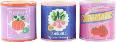Produktbild von FURNARO Übertöpfe Veggie Garden 3er-Set aus Keramik, Ø10 x 10 cm