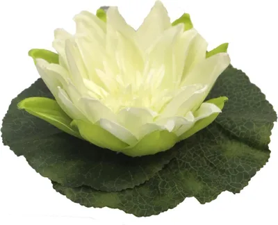Produktbild von artplants.de Kunst Seerose SHUOLIN, schwimmend, Creme, Ø18 cm - Künstliche Wasserlilie