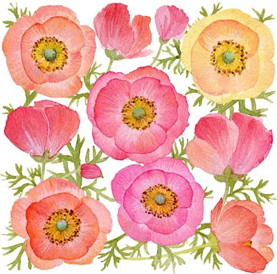 Produktbild von Servietten 33x33cm Poppy Paradise