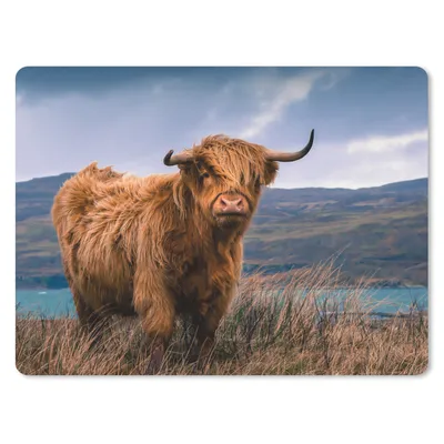 Produktbild von MuchoWow® Mauspad Mousepad Schottischer Highlander - Berg - Wasser - Natur - Kuh 40x30 cm - Mousepads - Maus Mat - Pad - Mausunterlage - Anti Rutsch