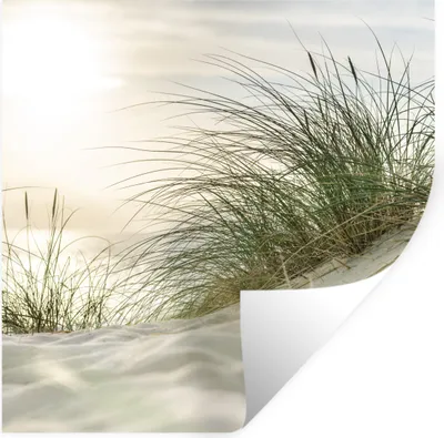 Produktbild von MuchoWow® Wandtattoo Wandsticker Wandaufkleber Dünen mit Strandhafer in der Sonne des Nationalparks Schleswig-Holsteinisches Wattenmeer 100x100 cm Selbstklebend und Repositionierbar - Wierderverwendbar - Selbstklebend