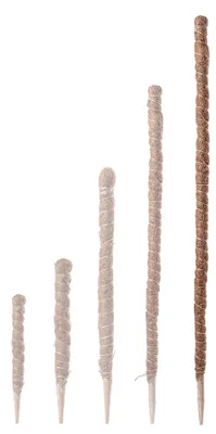 Obrázek produktu pro Podpěrná tyč pro rostliny, délka 150 cm, vyrobená z přírodní kokosové vlákny, vhodná pro popínavé rostliny, ekologický design, stabilizuje růst rostlin