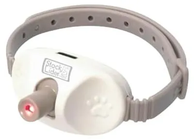 Image de Collier laser pour chats, collier laser pour animaux de compagnie, jouet interactif, etc