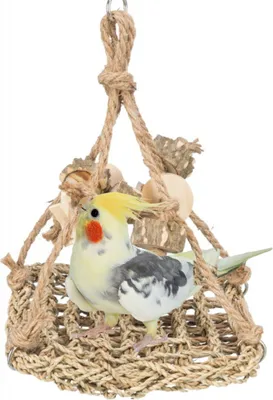 Image de Balançoire en gazon naturel - pour les nymphes et autres petits perroquets