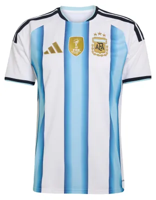 Productafbeelding van ADIDAS JM8396 AFA Thuisshirt, Wit-Hemelsblauw, S