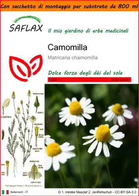 Immagine prodotto di SAFLAX Garden in the bag - Camomilla - 300 semi - Matricaria
