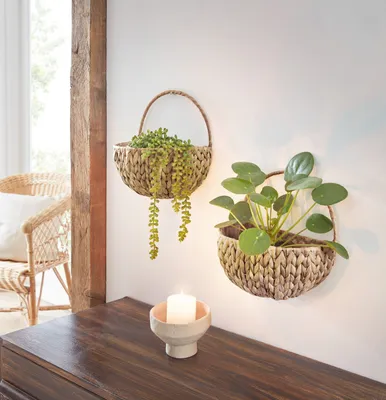 Produktbild von FRANK FLECHTWAREN Blumenkorb, Blumentopf hängend naturfarben, Pflanzgefäß für die Wand, Wandpflanzer Wasserhyazinthe