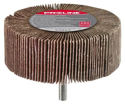 Immagine prodotto di Disco lamellare Proline 40 x 20 mm 6 mm P40 sul gambo