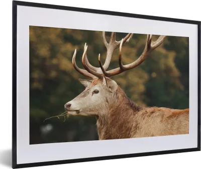 Produktbild von MuchoWow® MuchoWow® Gerahmtes Poster Hirsche - Geweihe - Wald 60x40 cm - Poster mit zchwarzem Bilderrahmen - Schlafzimmer - Plakat in Rahmen - Drucken