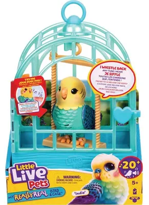 Imagen del producto de Little Live Pets: Mi Pájaro y Jaula Realistas - Indie