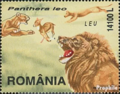 Produktbild von Briefmarken Rumänien 2000 Mi 5538 (kompl.Ausg.) postfrisch Raubkatzen