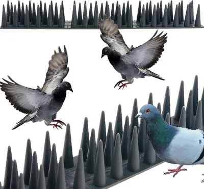 Productafbeelding van Vogelwerende spikkelstrip, 30 cm, bestand tegen weersinvloeden