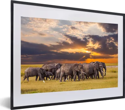 Produktbild von MuchoWow® MuchoWow® Gerahmtes Poster Elefant - Tiere - Gras - Sonnenuntergang - Natur 60x40 cm - Poster mit zchwarzem Bilderrahmen - Schlafzimmer - Plakat in Rahmen - Drucken