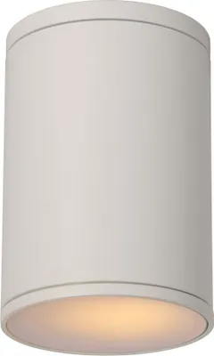 Zdjęcie produktu dla Lampa ZEWNĘTRZNA SUFITOWA Lucide E27 11W TUBIX 27870/01/31