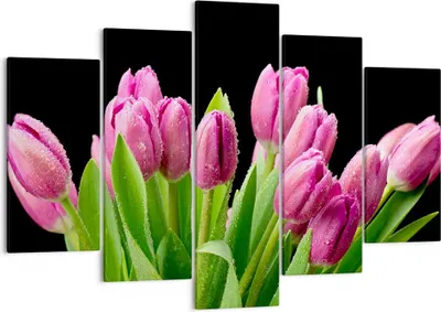 Produktbild von Bild auf Leinwand - Leinwandbild - Tulpen Blumenstrauß Tau Tropfen - 150x100cm - Wand Bild - Wanddeko - Leinwanddruck - Bilder - Kunstdruck - Leinwand bilder - Wandkunst - EA150x100-2486